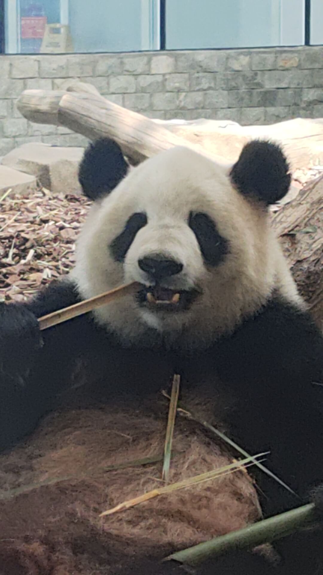 又是被萌到的一天——特种兵旅行